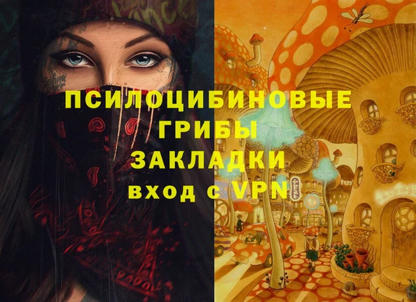 прущая мука Алзамай