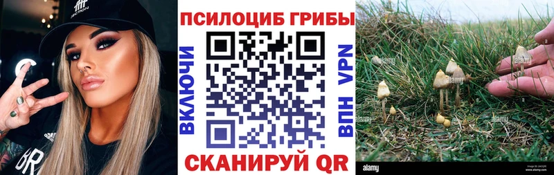 купить   Данков  Галлюциногенные грибы прущие грибы 